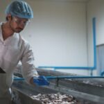 Como a automação está tornando a indústria de pescados mais sustentável e eficiente