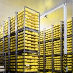 Alta performance em cold storages: refrigeração industrial com máxima eficiência